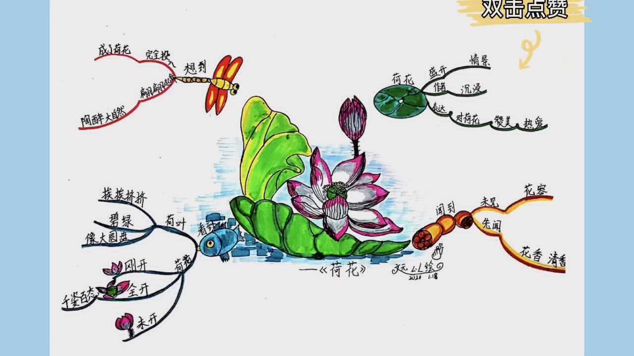 思维导图绘课文《荷花》_腾讯视频