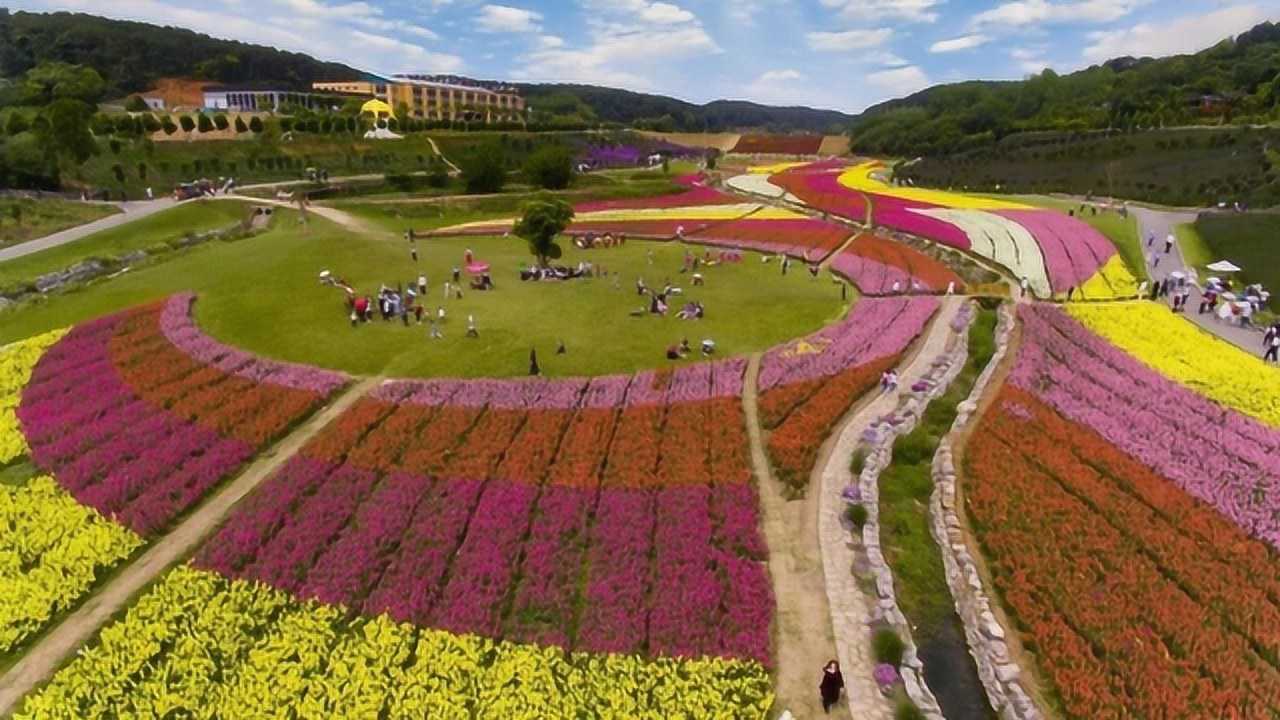 东方年华五一好去处