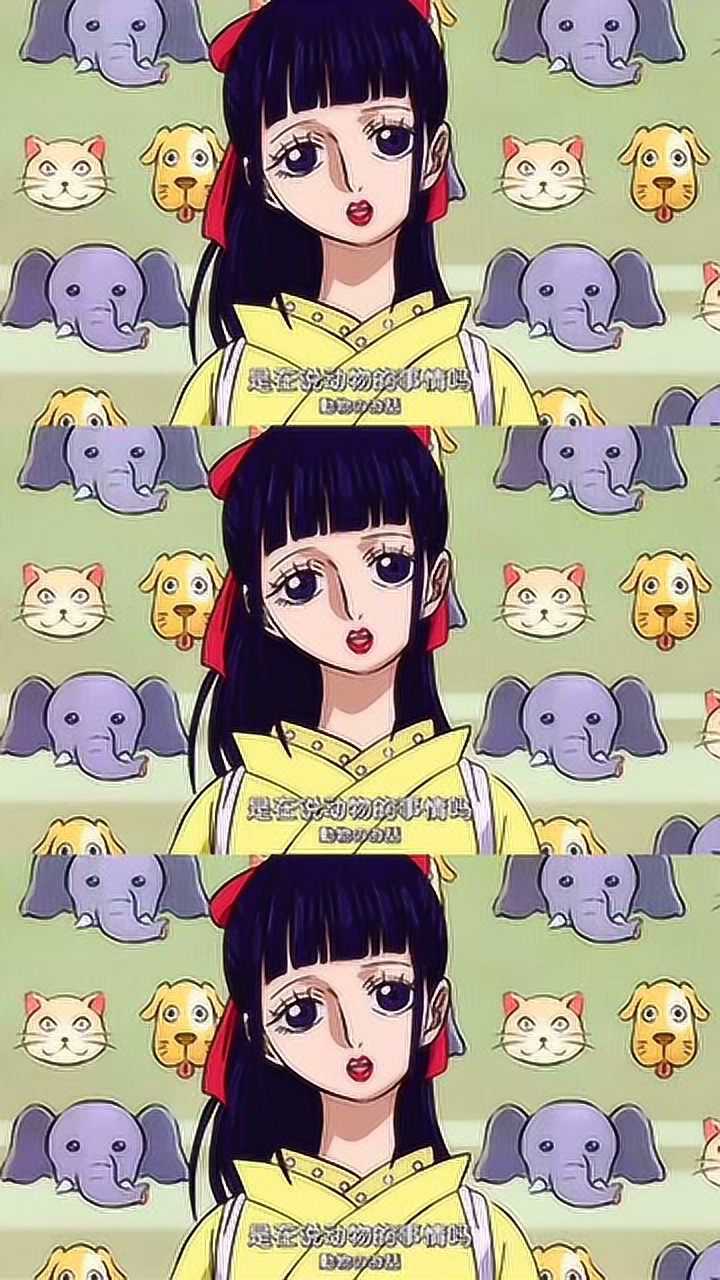 海贼王:阿菊是个男生?山治知道了怕是会心碎,真的无法相信这种事实