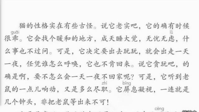 人教部编四年级语文下册13猫课文朗读