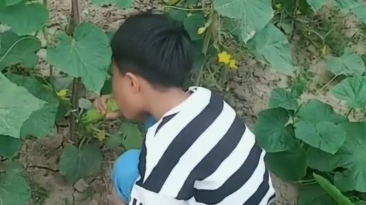 这个小孩子太搞笑,当看到他吃黄瓜的一幕,妈妈都笑喷了!