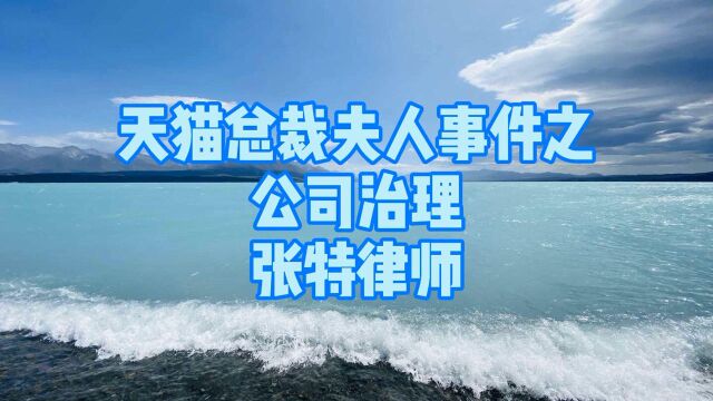 天猫总裁蒋凡事件的公司治理.