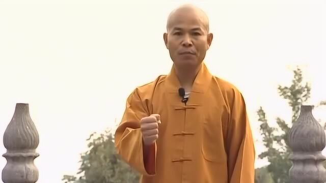 基本拳法的握拳姿势,这两种拳法尤为重要,看看正确的握拳姿势!