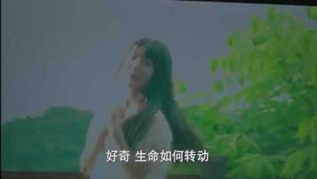 影视:奇奇录制一段MV,一夜走红,奇奇的歌声布满大街小巷