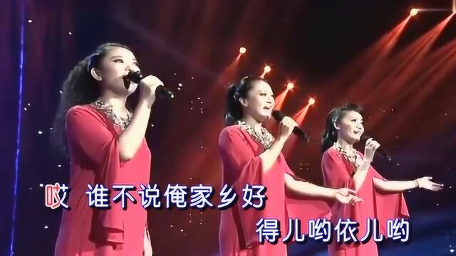 黑鸭子组合《谁不说俺家乡好》,最美和声演绎经典民歌!