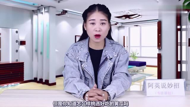 挑选黄瓜有窍门,不要看它太平常,学会这个技巧一挑一个准