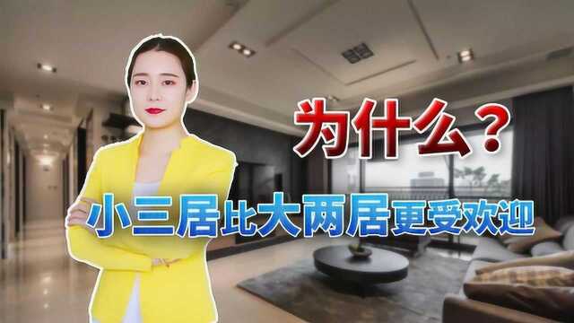 为什么小三居比大两居更受欢迎?关键就在于这点,初次购房要注意