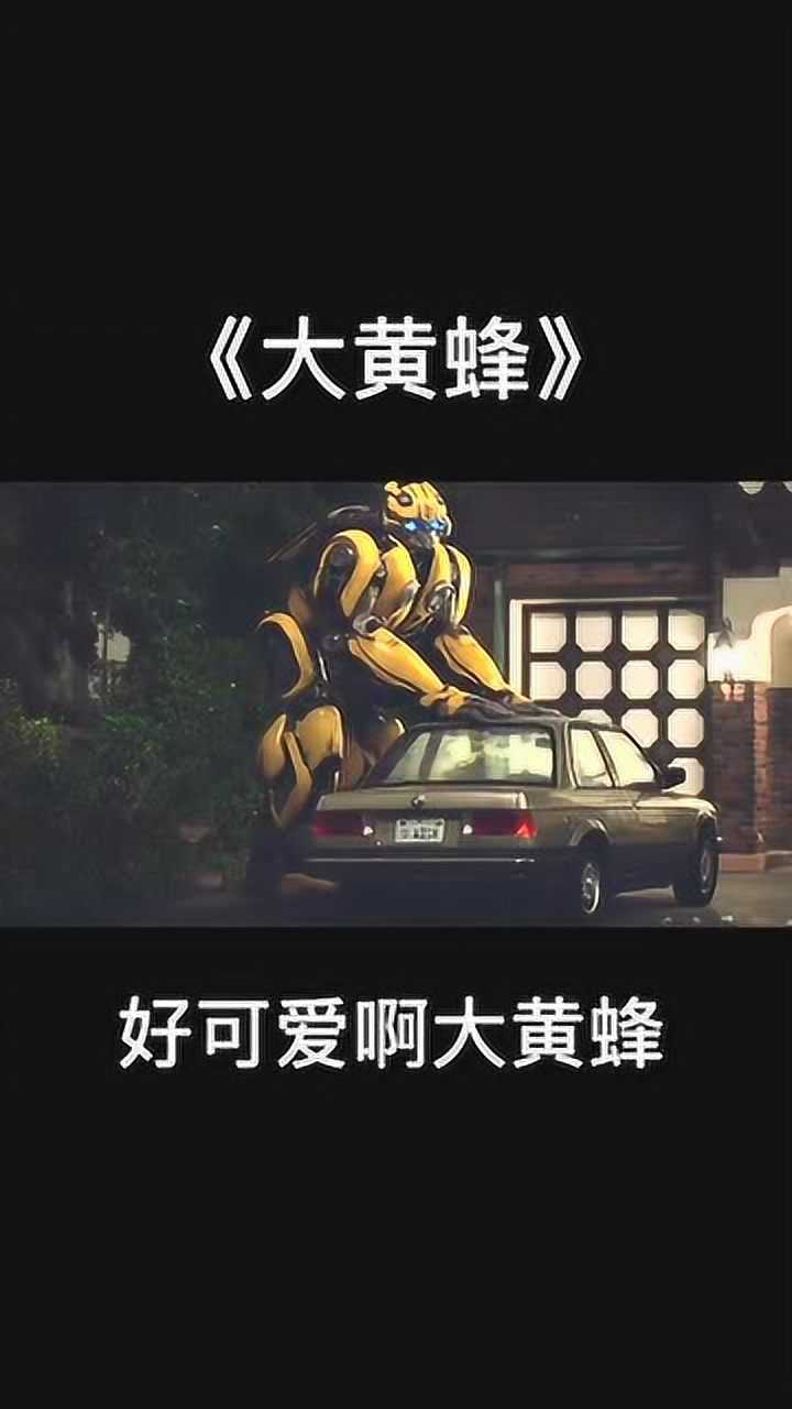 好可爱啊大黄蜂