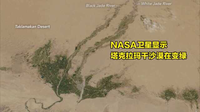 NASA卫星图显示塔克拉玛干沙漠在变绿 今天你种树了吗?