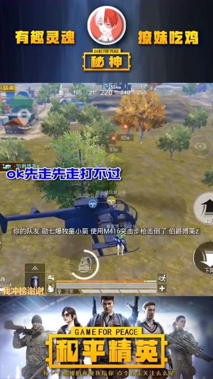 和平精英秘神:秘神与牧童的飞机大战