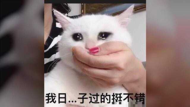 护士的职业病,每一条都被说中了