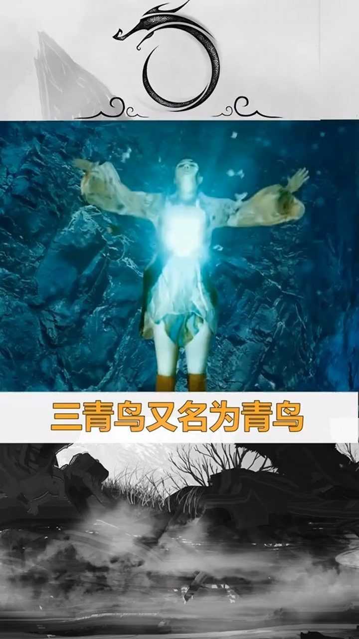 三青鸟为西王母信使长得极为漂亮灵识超越凤凰