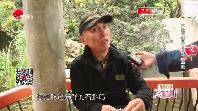 怎样挑选石斛?专家教你分辨不同品种,赶紧学起来