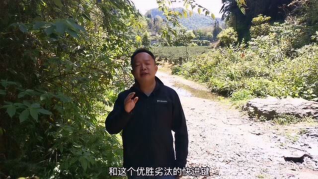 1.疫情下的危与机暂停键与快进键