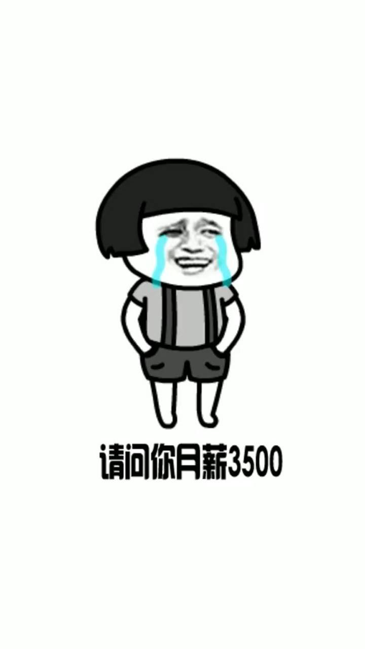 社会语录猛如虎,一问工资3500.安排.