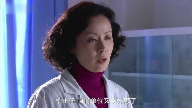 心机女上司偷走美女硕士论文,不料美女更狠,直接辞职中断研究!