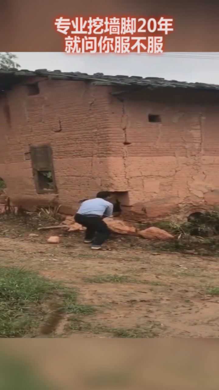 专业挖墙脚20年,就问你服不服!