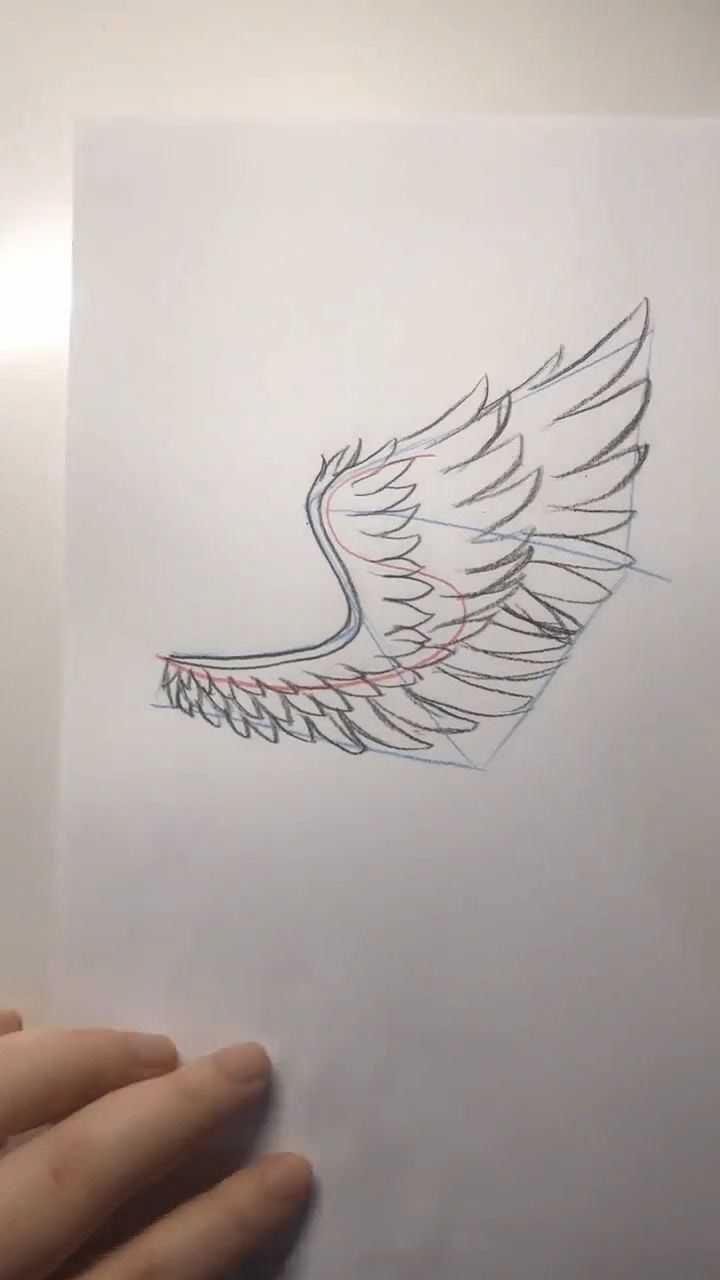 教大家如何画天使翅膀,赶快学会去尝试画一下吧