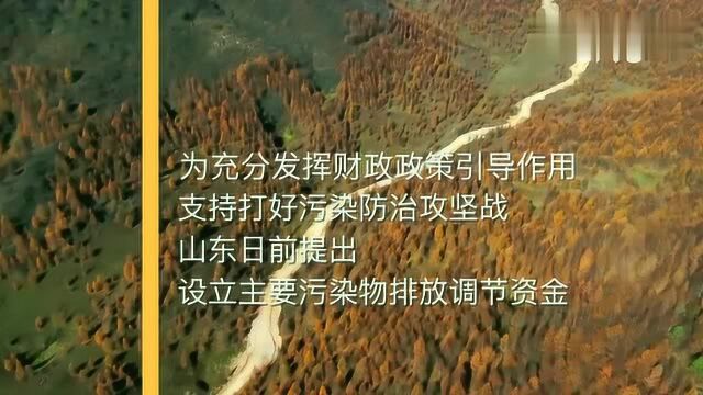 山东推动本地生态环境质量持续改善