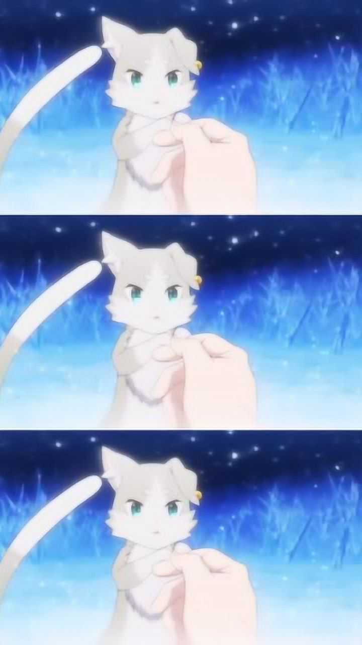 艾米莉亚帕克从零开始的异世界生活