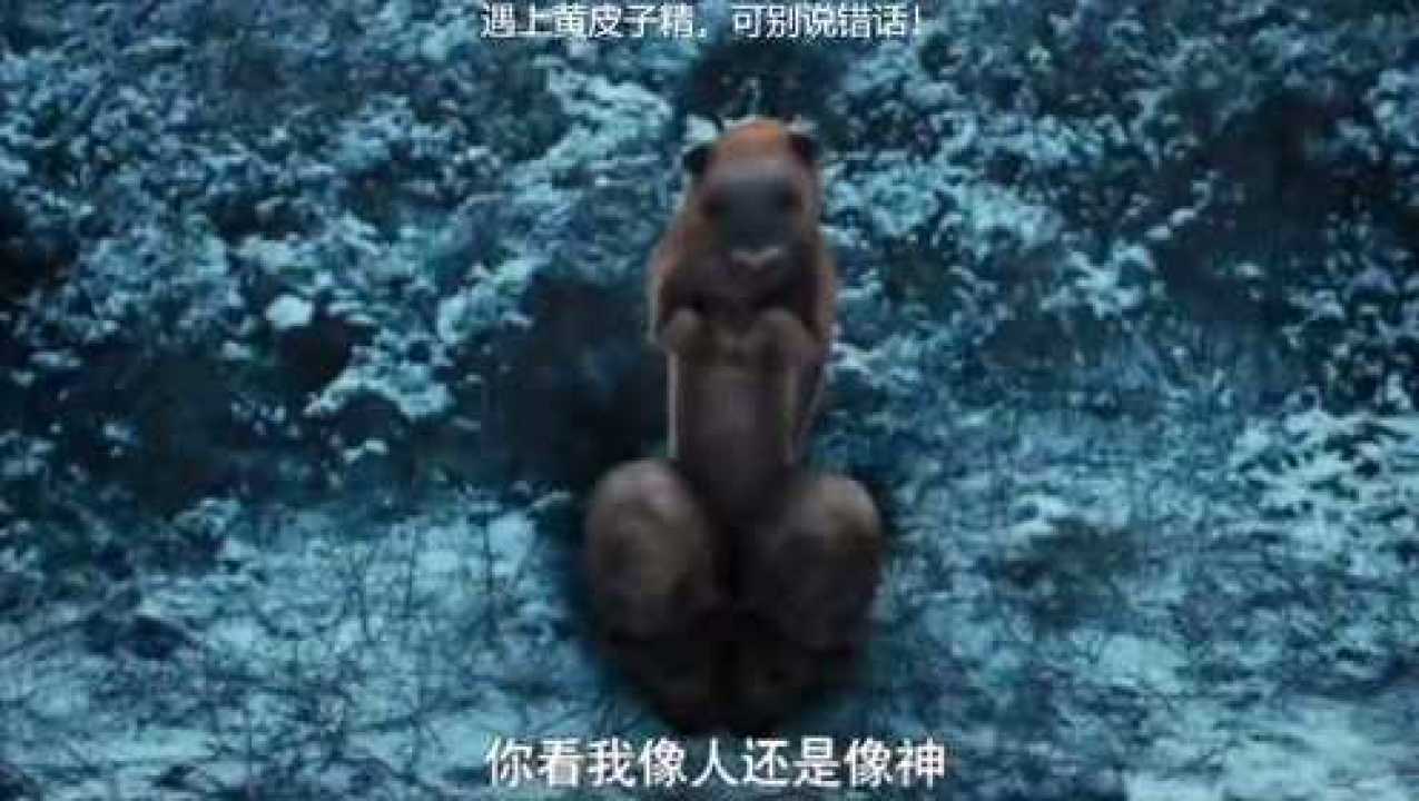 黄皮子精:你看我像人还是像神?