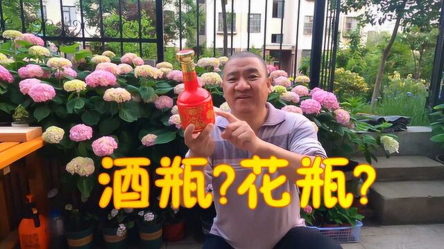 看到漂亮的玻璃空酒瓶一定要捡回家!简单妙招变成花盆花瓶