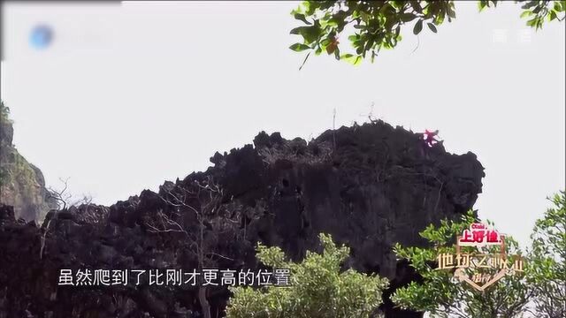 侣行:270跟着菲律宾当地人采燕窝,把山翻了一圈却毫无收获