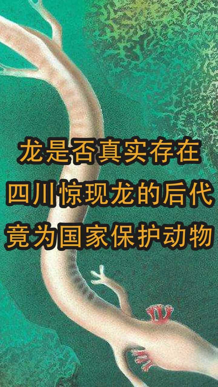 龙是否真实存在四川惊现龙的后代