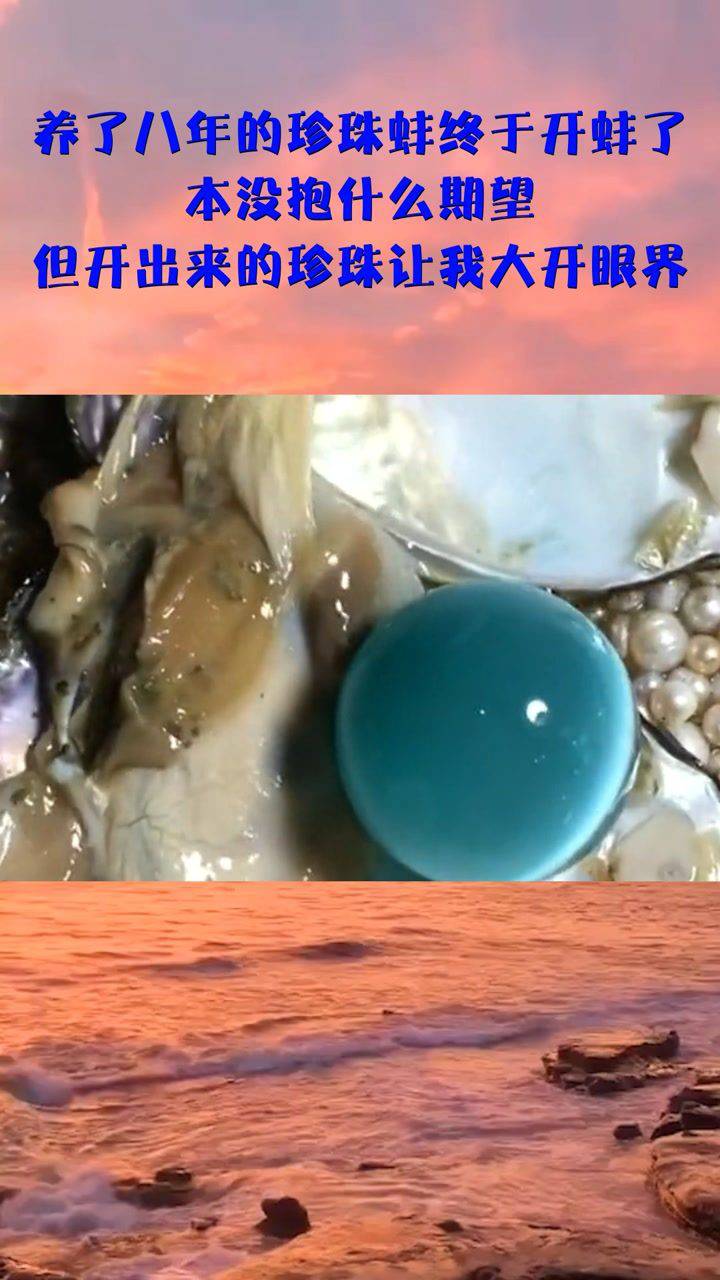 养了八年的珍珠蚌终于开蚌了本没抱什么期望但开出来的珍珠让我大开眼