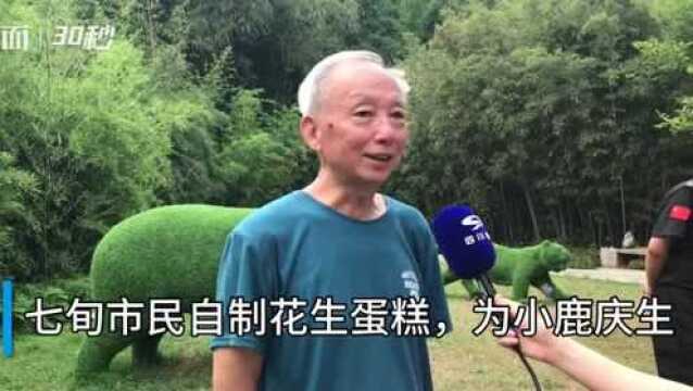 30秒|花生苹果车厘子,成都七旬市民自制蛋糕深得鹿心