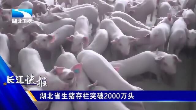 湖北3000多万亩粮田作物颗粒归仓