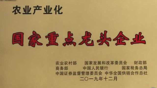 06041通海高原农产品有限公司荣获“农业产业化国家重点龙头企业”