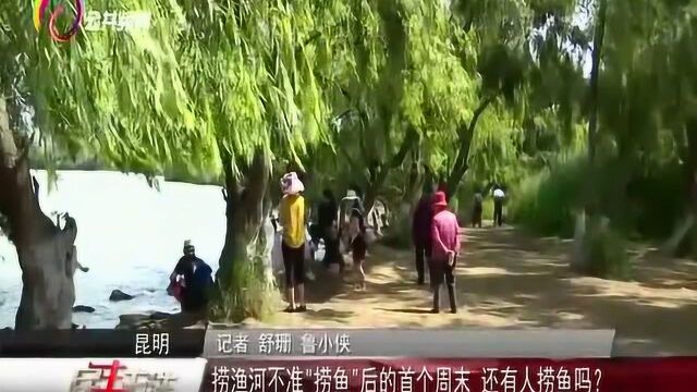 捞渔河不准“捞鱼”后的首个周末,还有人捞鱼吗?