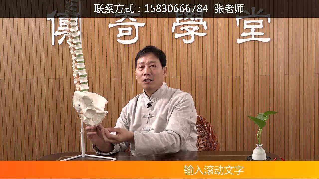 吴金乐——4根骶能量健康法-根骶.mp4