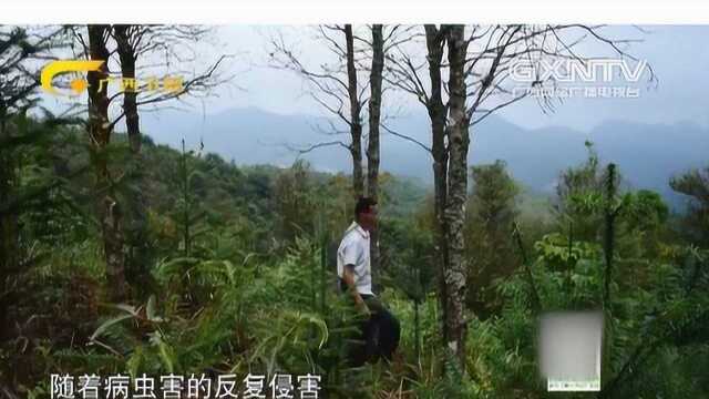 富裕村变成贫困村,病虫对农物的反复侵害,让当地村民苦不堪言