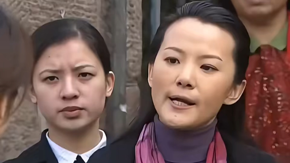 中国式离婚的介绍和中国式离婚电视剧剧情介绍剧情简介