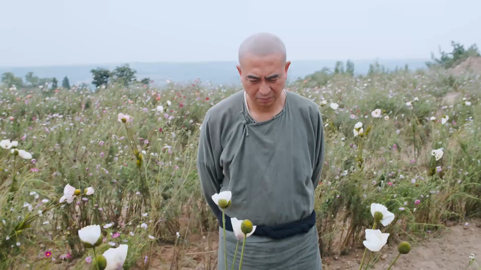 白鹿原:朱先生套牛耕地,铲除了白鹿原上的毒源,真男人