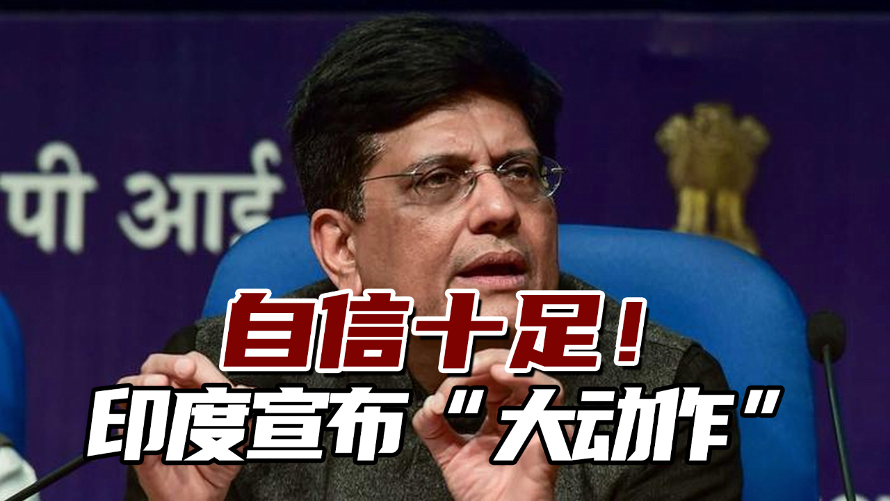 自信十足!印度宣布"大动作":我们将成电动汽车全球制造中心