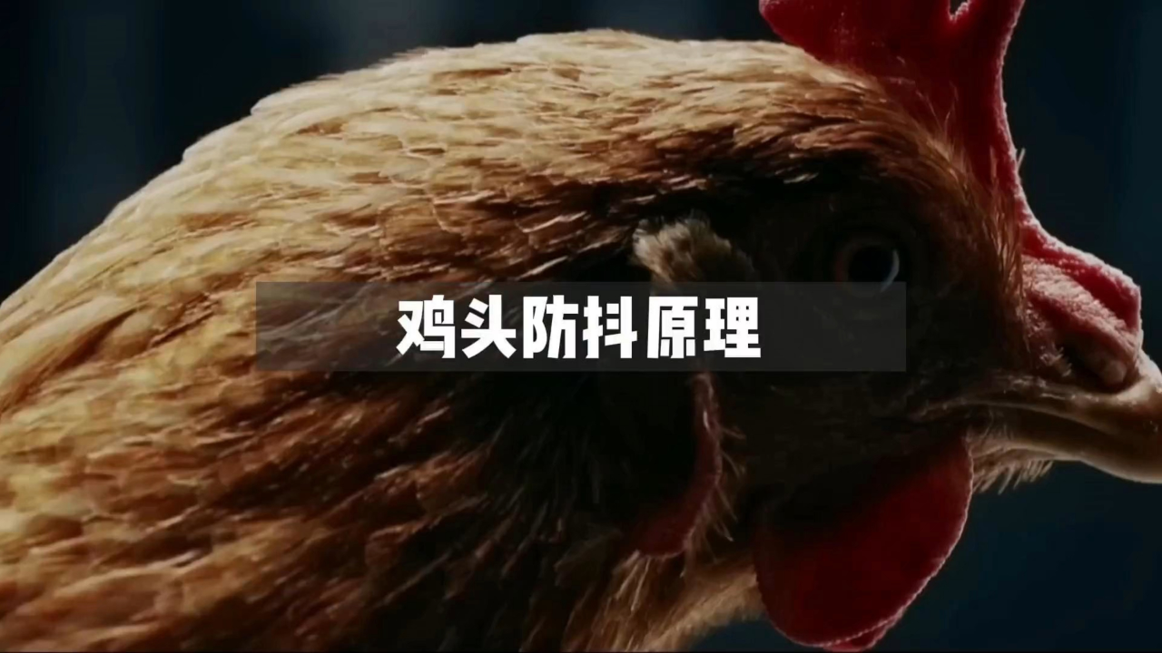 鸡头防抖原理