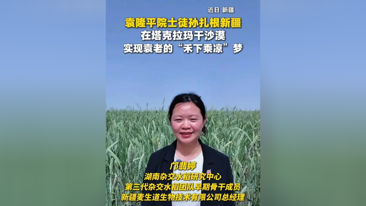 袁隆平院士徒孙扎根新疆,在塔克拉玛干沙漠实现袁老的“禾下乘凉”梦_腾讯新闻