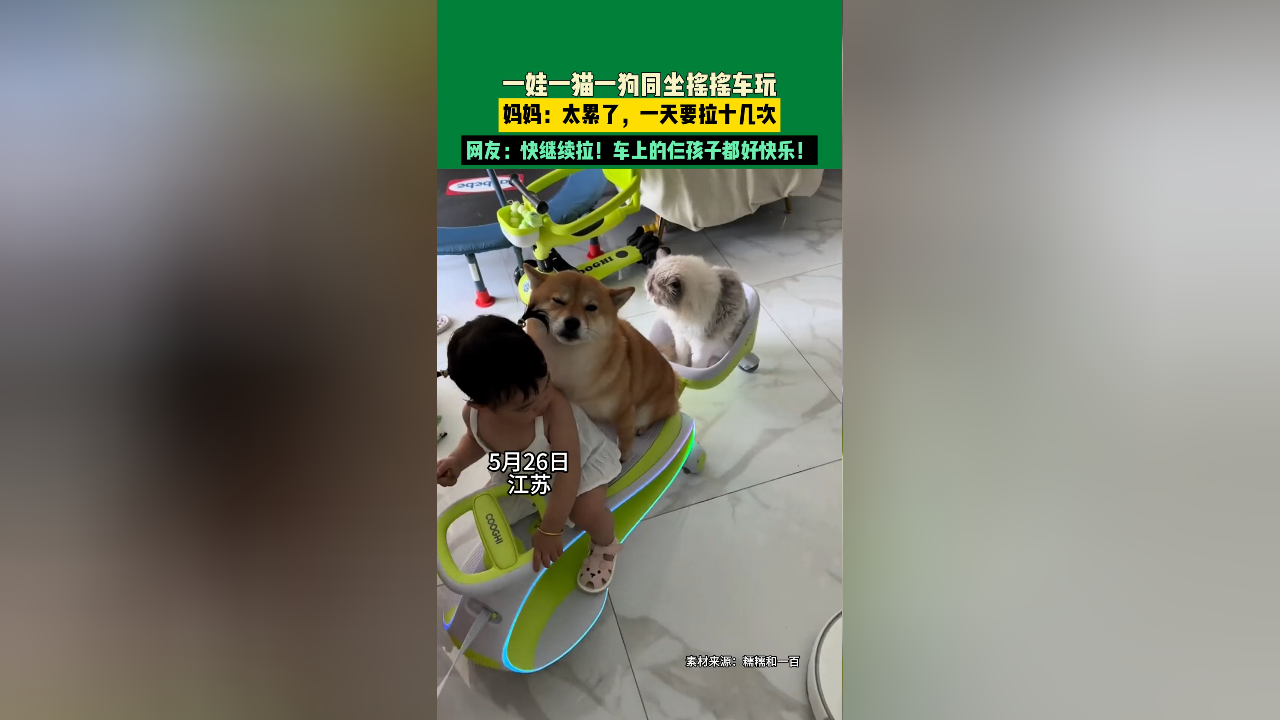 一娃一猫一狗同坐摇摇车玩,妈妈:太累了,一天要拉十几次