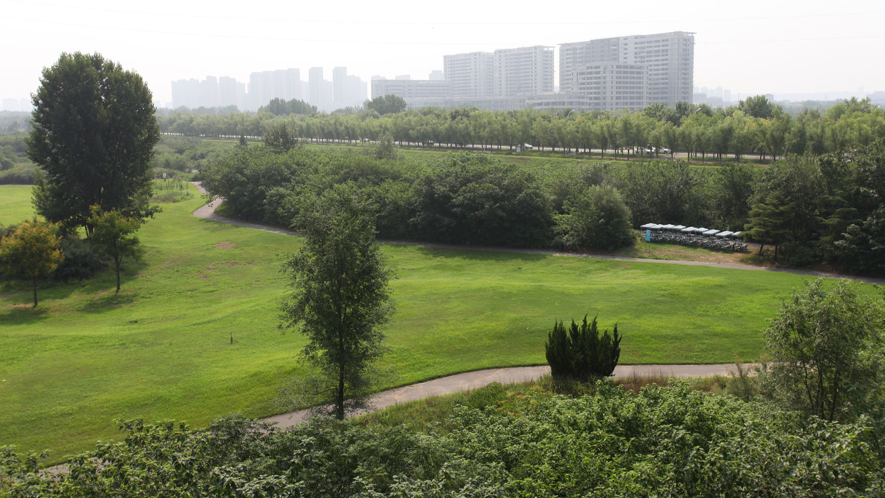 西安渭河城市运动公园:超大的河滩公园,草坪一望无际,人少景美