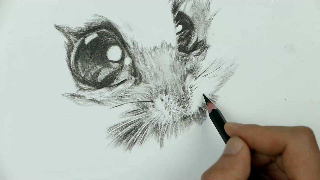 26素描萌宠:吃胡萝卜的小仓鼠