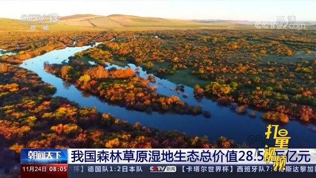 我国森林草原湿地生态总价值28.58万亿元