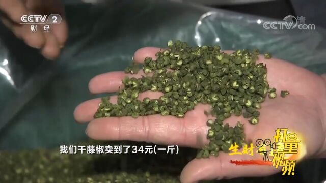 根据市场需求对鲜藤椒和干藤椒的比例适时进行调整