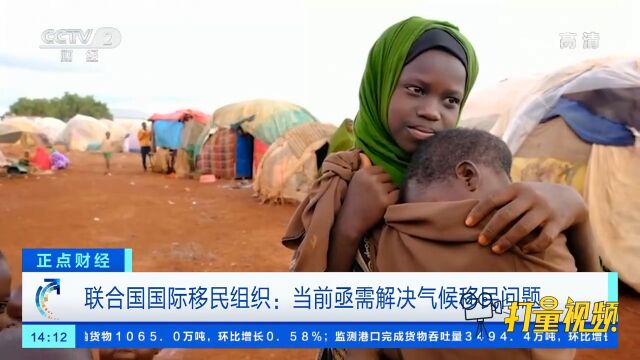 联合国国际移民组织:当前亟需解决气候移民问题