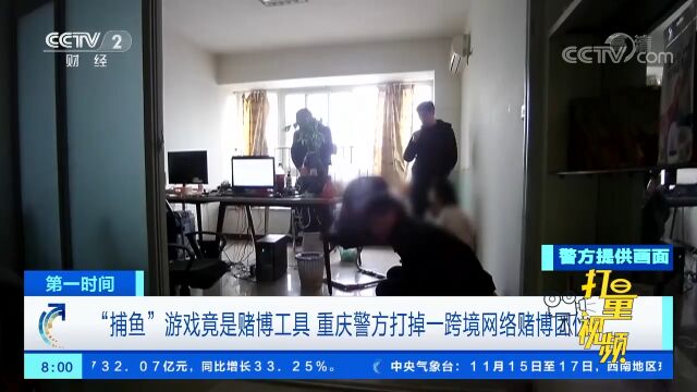 重庆警方打掉一跨境网络赌博团伙,涉案金额1000多万元