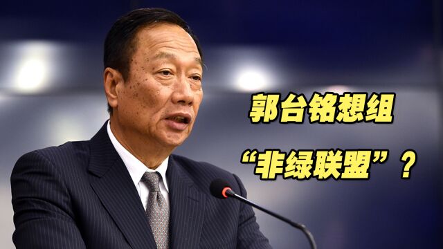 岛内各阵营暗自角力2024,郭台铭想组“非绿联盟”?