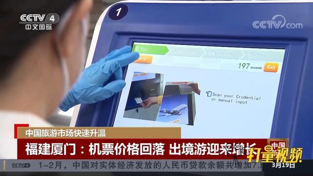 福建厦门:机票价格回落,出境游迎来增长