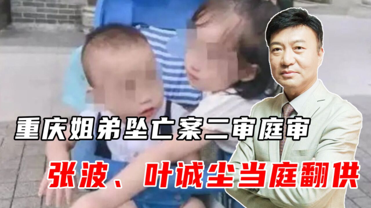 重庆姐弟坠亡案二审，张波、叶诚尘当庭翻供，不能让凶手逍遥法外_高清1080P在线观看平台_腾讯视频